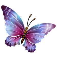 Оригинал схемы вышивки «бабочка» (№1225468)