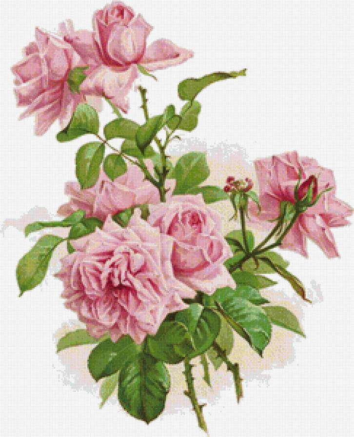 Розовые розы - роза, розовые цветы, розы, панно, розовые розы, букет, панель, цветы - предпросмотр