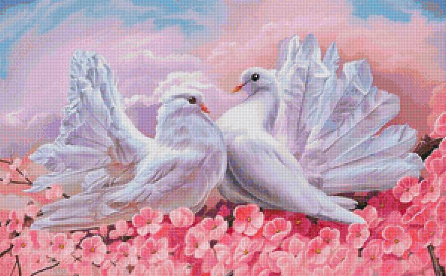 любовь и голуби - голуби, пара, голубь, любовь, розовые цветы, птицы, белый голубь - предпросмотр