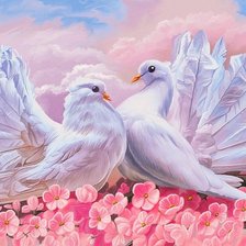 любовь и голуби