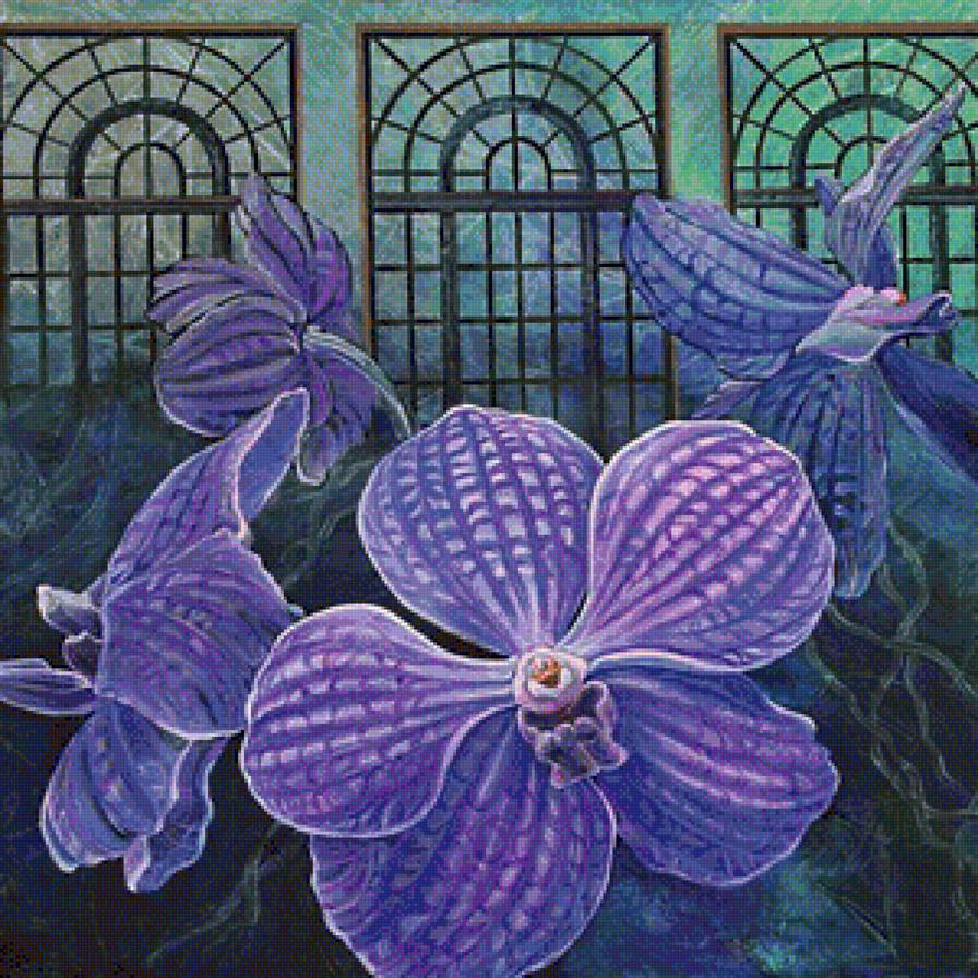лиловые цветы - лиловые цветы, орхидея, орхидеи, ванда, цветы - предпросмотр