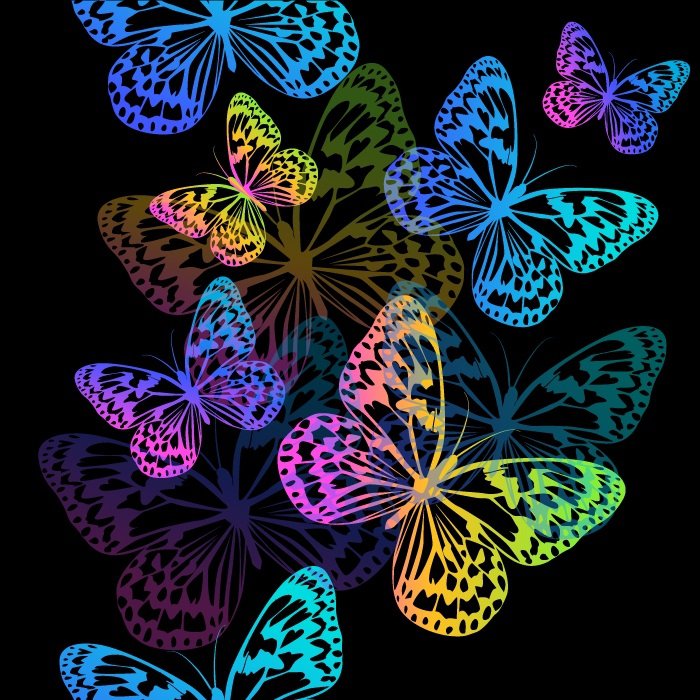 бабочки на черном фоне - бабочки - оригинал
