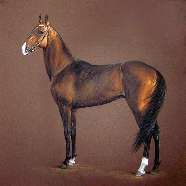 Худ.Дубинина Юлия. Ахалтекинец Туркментай - конь, картина, лошадь, животные - оригинал
