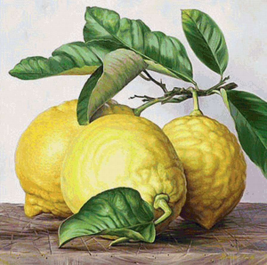 Лимончики - натюрморт, листья, цитрусы, лимон, лимоны, живопись, фрукты, для кухни - предпросмотр