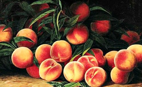 Персики - натюрморт, для кухни, персики, персик, живопись, фрукты, нектарины - оригинал