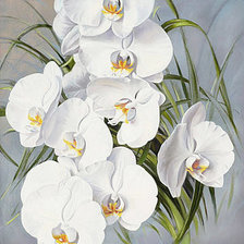 Оригинал схемы вышивки «Белые орхидеи» (№1228330)