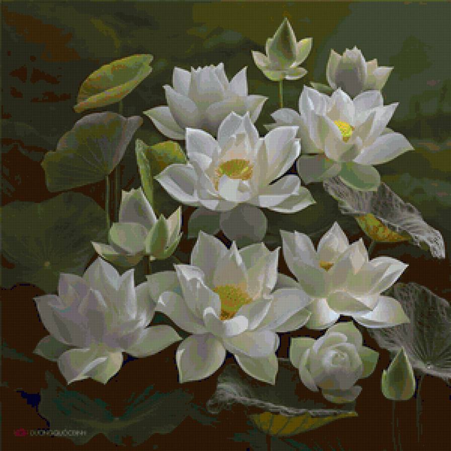 Белые лотосы - лотос, цветы, белые цветы, фауна - предпросмотр