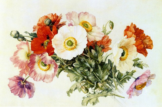 Букет маков - весенние цветы, цветы, весна, маки, натюрморт, полевые цветы, букет - оригинал