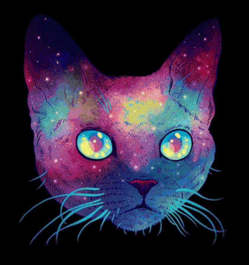 colourfull cat - colourfull cat - предпросмотр