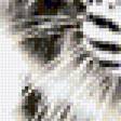 Предпросмотр схемы вышивки «white tiger» (№1232905)