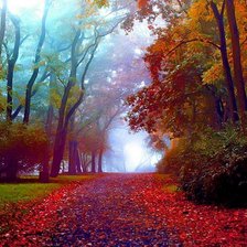 colourfull autumn