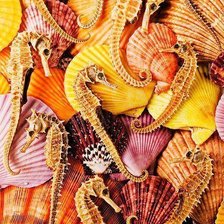 Схема вышивки «seashels»