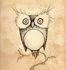 Оригинал схемы вышивки «owls» (№1233221)