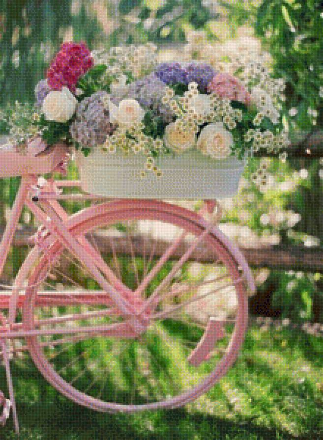 bike and flower - bike and flower - предпросмотр