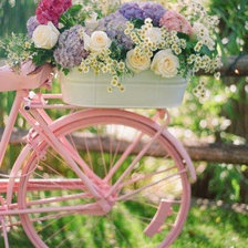 Оригинал схемы вышивки «bike and flower» (№1233255)