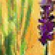 Предпросмотр схемы вышивки «lavender» (№1233281)