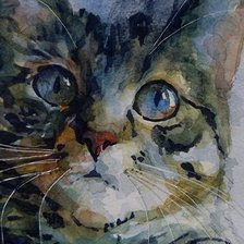 cat on canvas