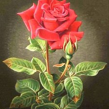 Оригинал схемы вышивки «Роза» (№1233984)