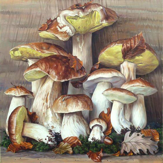 Грибной натюрморт - натюрморт, дары леса, грибы, гриб, белые грибы, живопись, для кухни - оригинал
