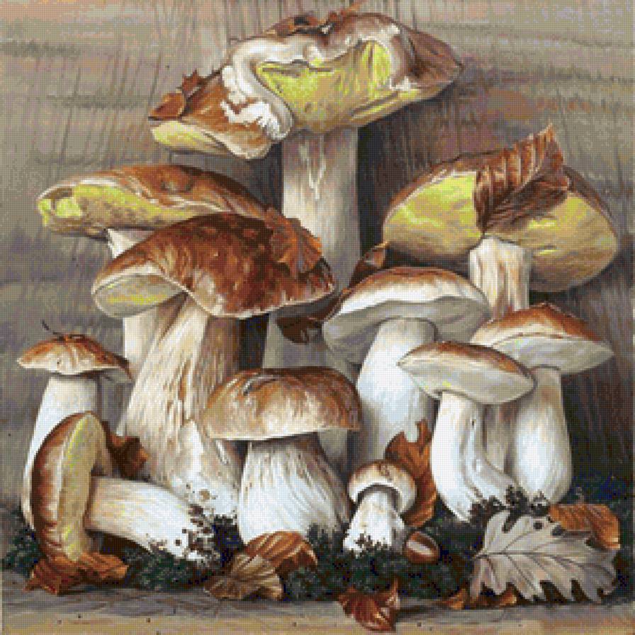 Грибной натюрморт - белые грибы, натюрморт, для кухни, дары леса, живопись, грибы, гриб - предпросмотр