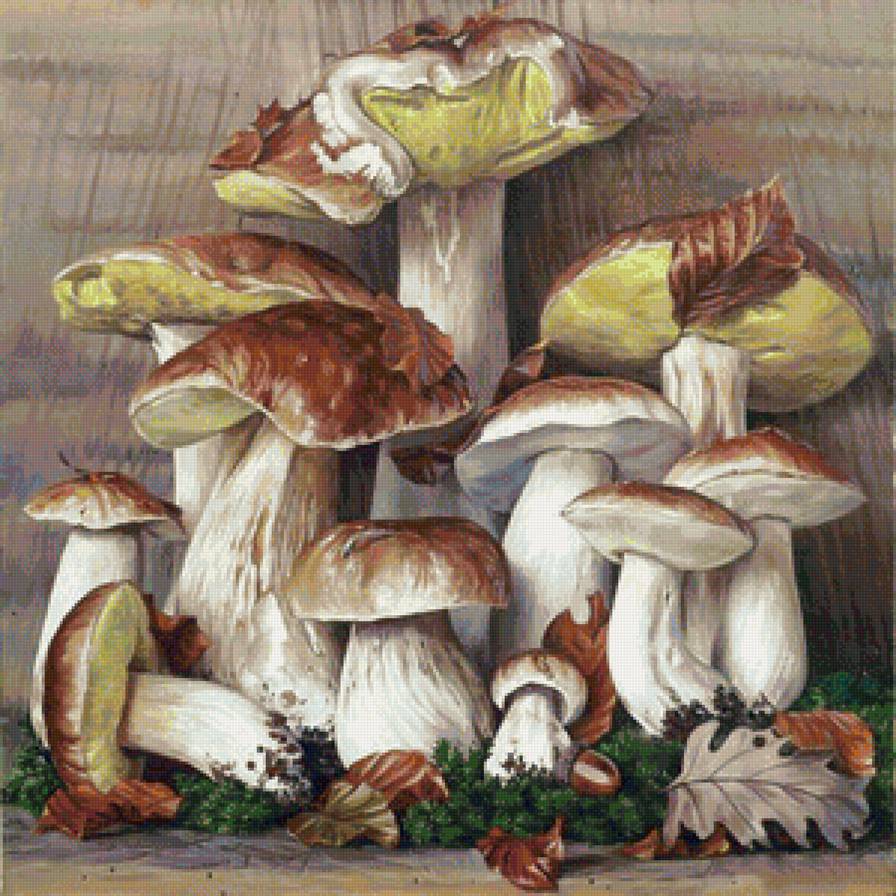 Грибной натюрморт - белые грибы, дары леса, живопись, для кухни, натюрморт, грибы, гриб - предпросмотр