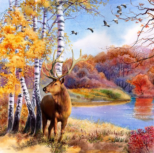 осень в лесу - животные, озеро, лес - оригинал