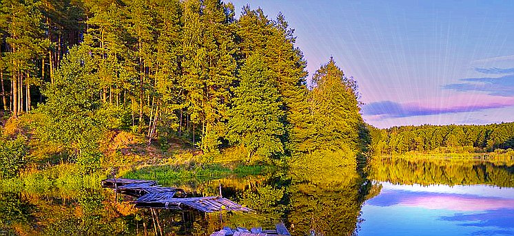 Озеро в лесу - озеро, природа, лес - оригинал