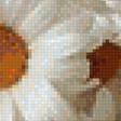 Предпросмотр схемы вышивки «ромашки» (№1238411)
