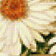 Предпросмотр схемы вышивки «Солнечные ромашки» (№1239677)