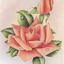 Оригинал схемы вышивки «роза» (№1239999)