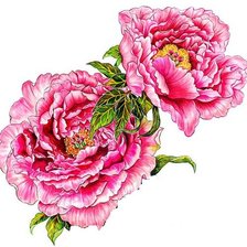 Оригинал схемы вышивки «цветы» (№1240028)