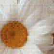 Предпросмотр схемы вышивки «Ромашки» (№1241883)