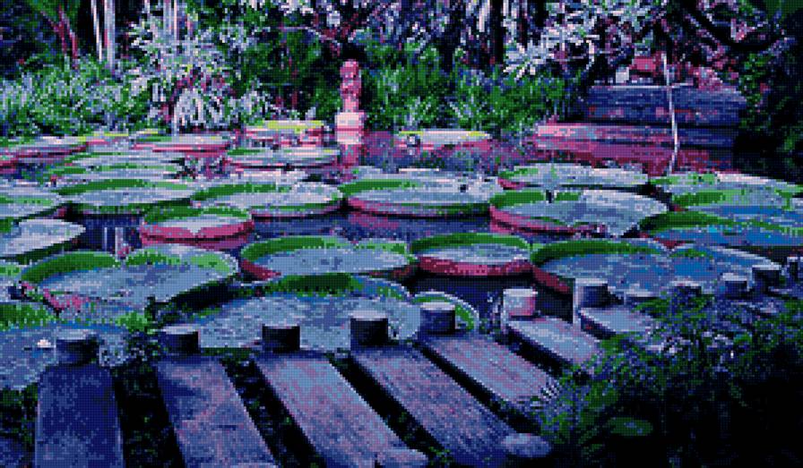 Виктория амазонская - сад, вода, природа - предпросмотр