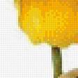Предпросмотр схемы вышивки «все оттенки желтого» (№1242698)