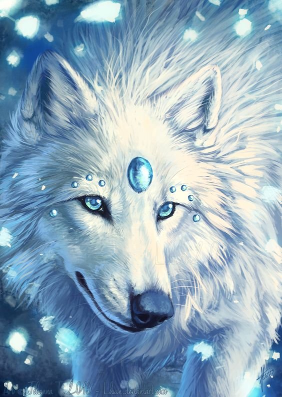 Белый волк - волк, животные - оригинал