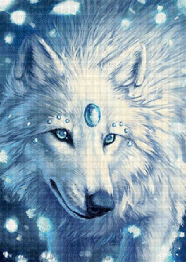 Белый волк - животные, волк - предпросмотр