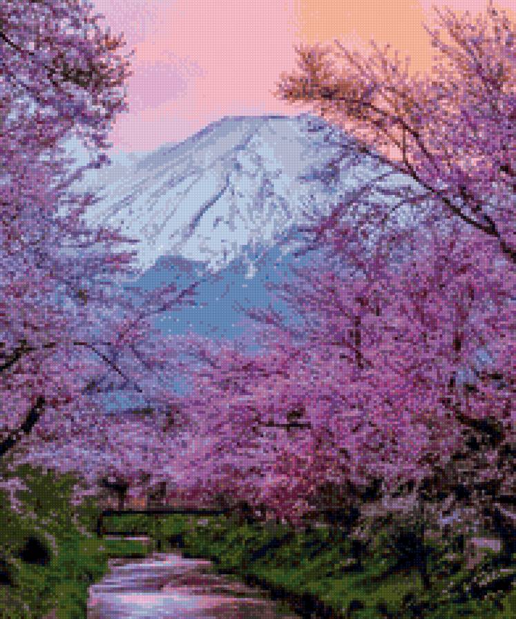 цветущая сакура - природа, пейзаж, сакура, гора - предпросмотр