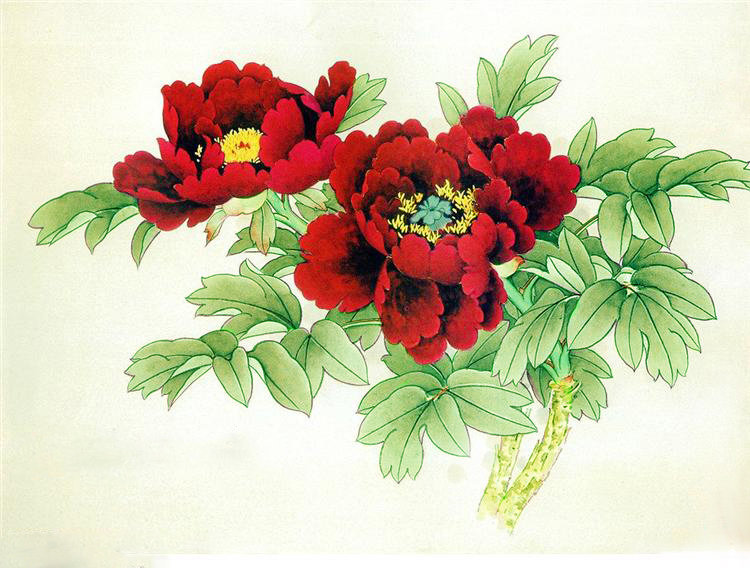 Пионовая ветвь - красные пионы, цветы, красные цветы, пион, пионы, китайские пионы - оригинал