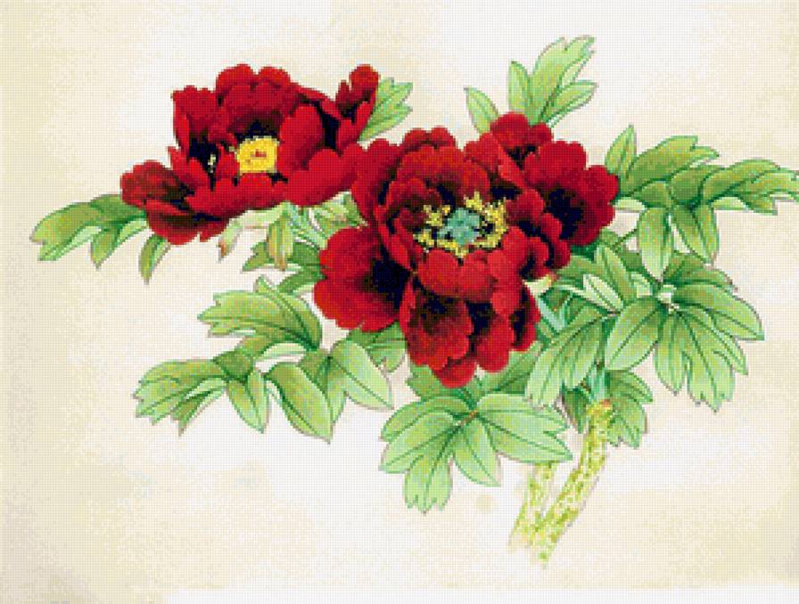 Пионовая ветвь - китайские пионы, красные цветы, пион, красные пионы, пионы, цветы - предпросмотр