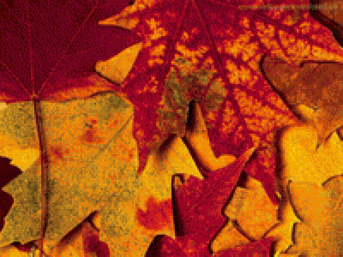 Осенние листья - предпросмотр