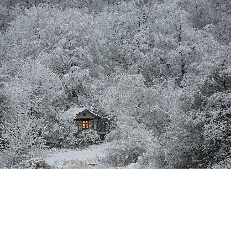 домик в зимнем лесу - зима лес - оригинал