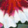 Предпросмотр схемы вышивки «цветы» (№1247821)