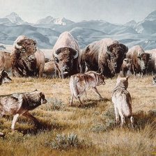 Схема вышивки «волки и буйволы»