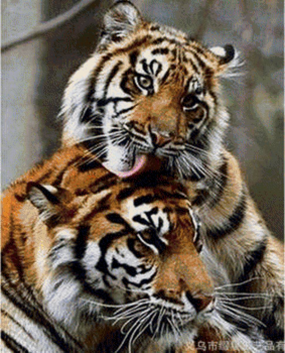 Тигры - тигры, большие кошки - предпросмотр