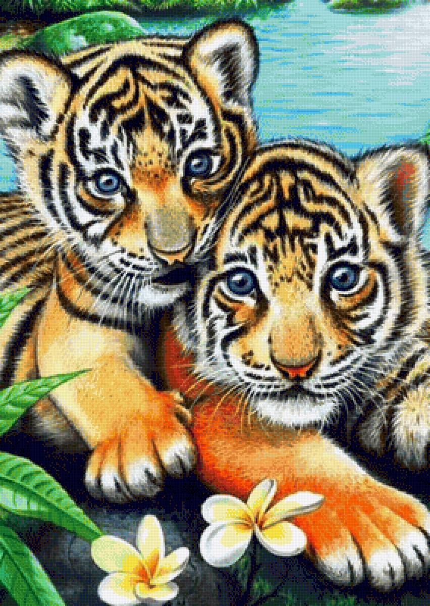 Тигрята - животные, дикие кошки, тигр, тигренок - предпросмотр