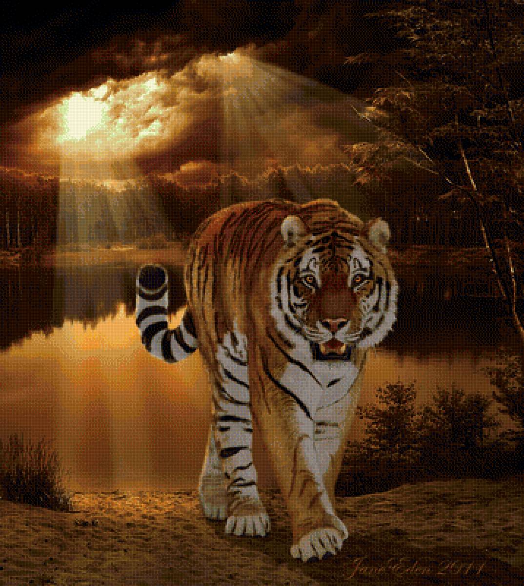тигр - кошка, тигр, зверь, закат, природа - предпросмотр