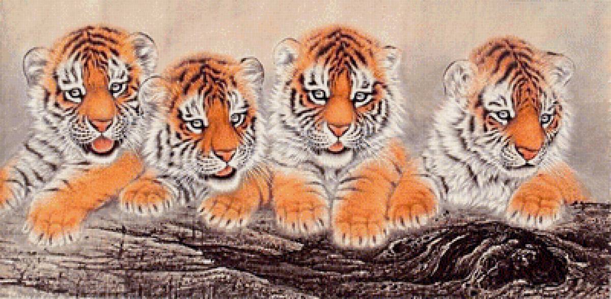 милые малыши - тигрята, хищники, тигр, тигры, тигренок - предпросмотр