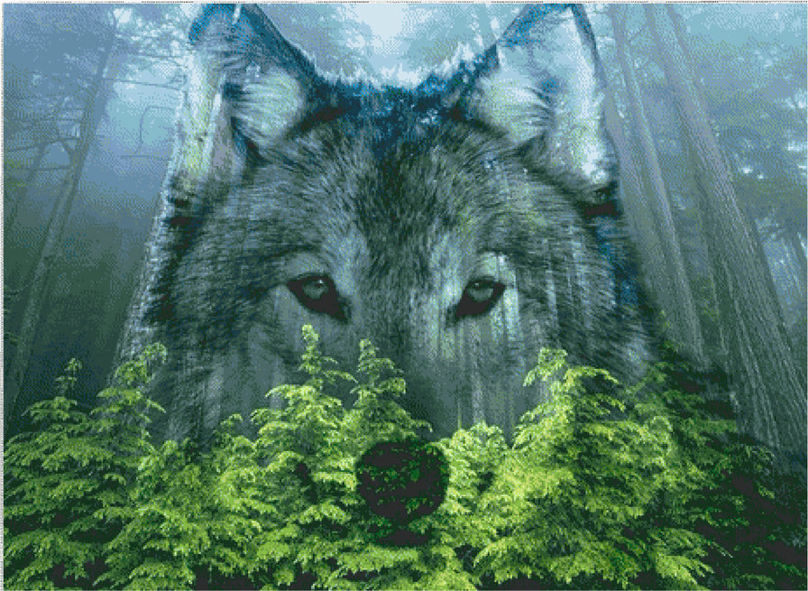 Волк в лесу - природа, волки, животные, лес - оригинал