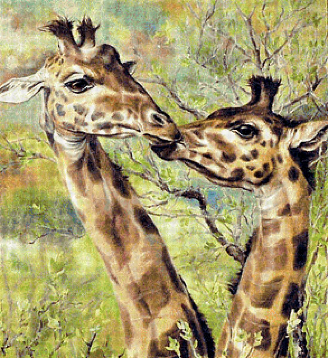 это любовь - жираф. дикие животные. поцелуй - предпросмотр