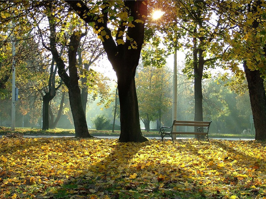 осенний парк - парк, природа, осень, пейзаж - оригинал